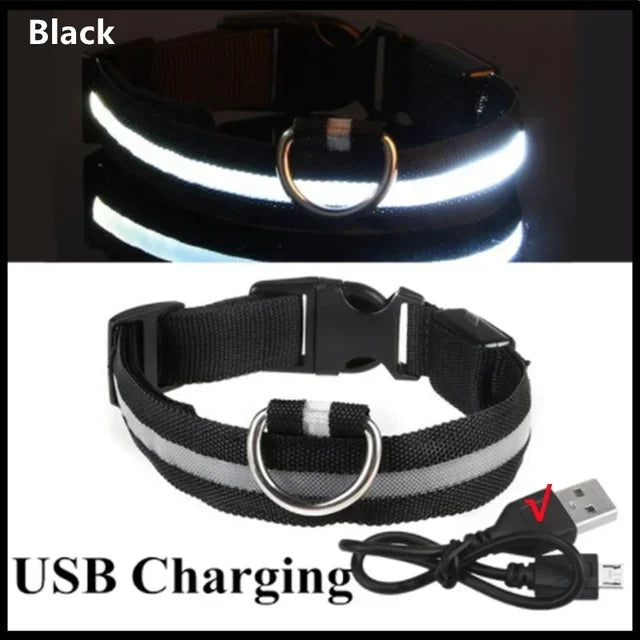 Wiederaufladbares LED-Hundehalsband mit USB – Leuchtendes Sicherheitsband für Nacht & Dämmerung