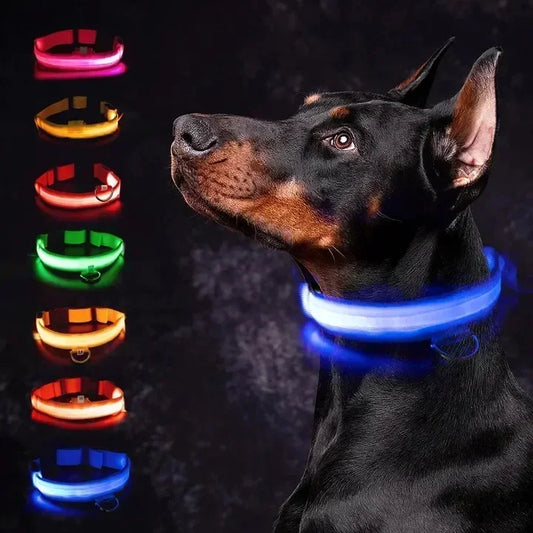 Wiederaufladbares LED-Hundehalsband mit USB – Leuchtendes Sicherheitsband für Nacht & Dämmerung