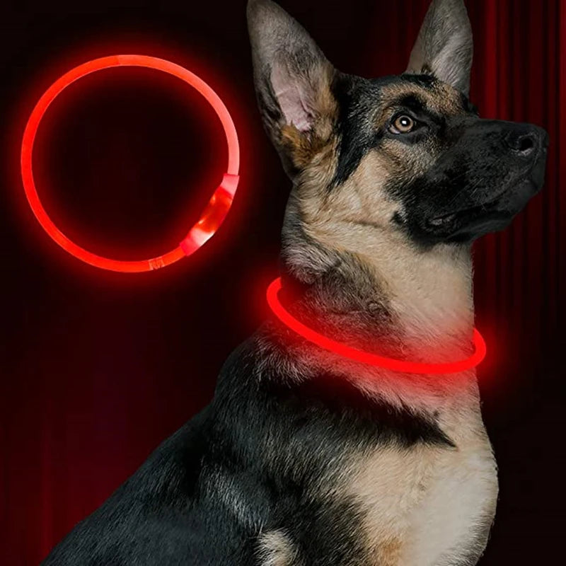 LED USB Hundehalsband wiederaufladbar – Leuchtendes Sicherheits-Halsband für Nachtspaziergänge