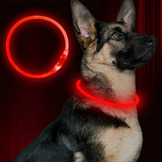 LED USB Hundehalsband wiederaufladbar – Leuchtendes Sicherheits-Halsband für Nachtspaziergänge