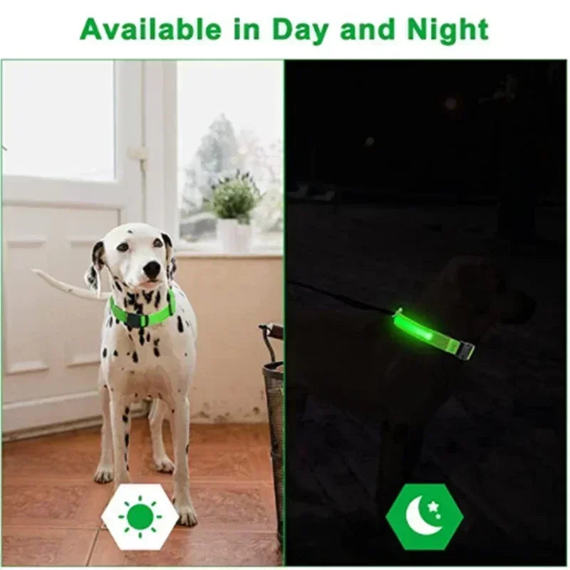 Wiederaufladbares LED-Hundehalsband mit USB – Leuchtendes Sicherheitsband für Nacht & Dämmerung