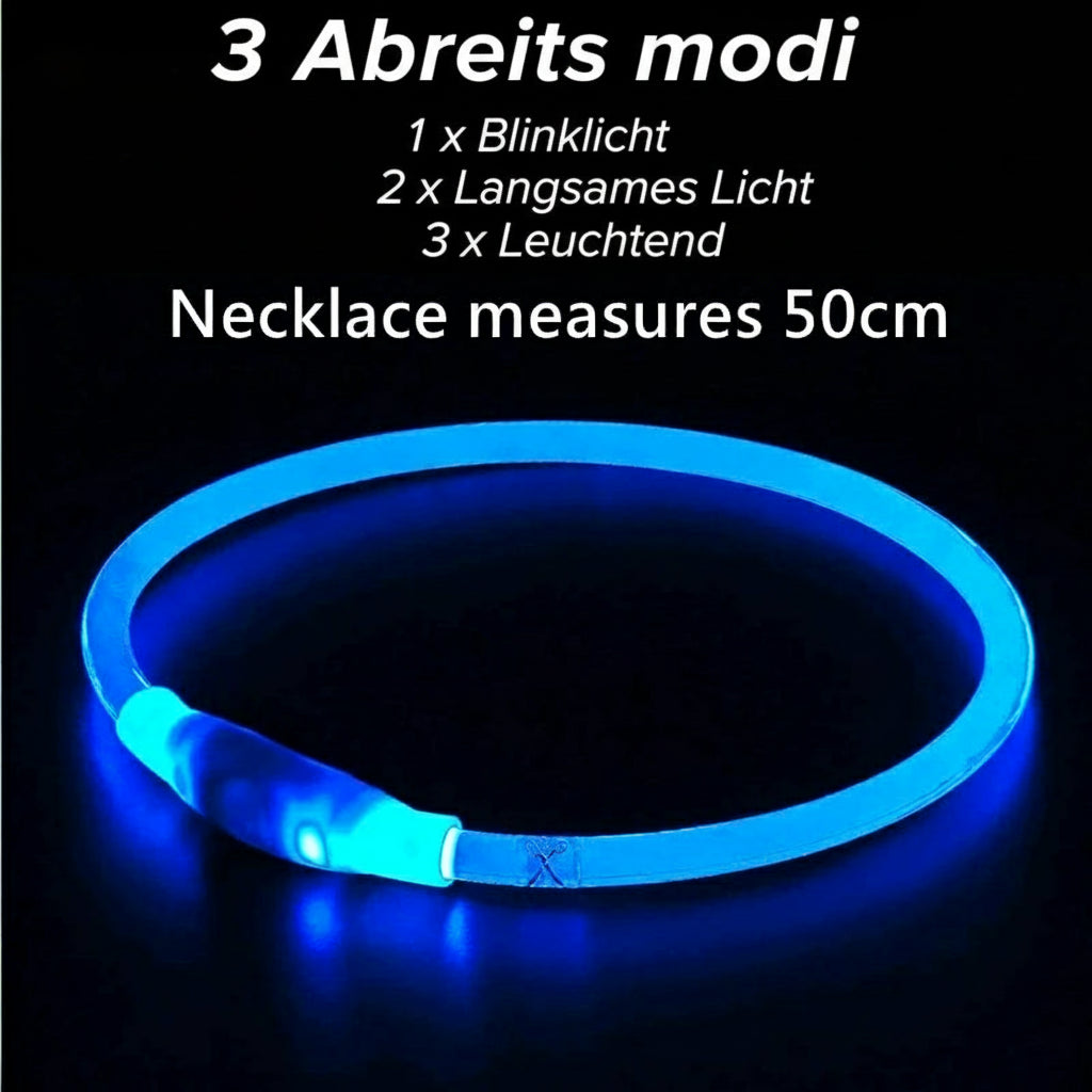 LED USB Hundehalsband wiederaufladbar – Leuchtendes Sicherheits-Halsband für Nachtspaziergänge