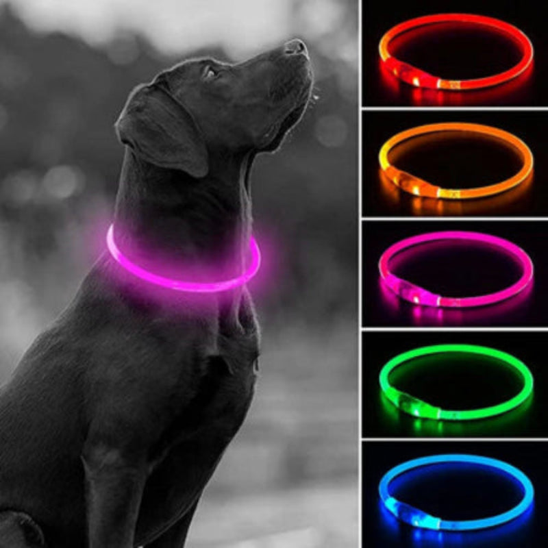 LED USB Hundehalsband wiederaufladbar – Leuchtendes Sicherheits-Halsband für Nachtspaziergänge