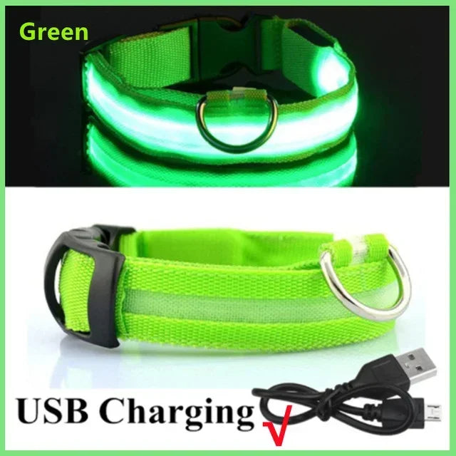 Wiederaufladbares LED-Hundehalsband mit USB – Leuchtendes Sicherheitsband für Nacht & Dämmerung