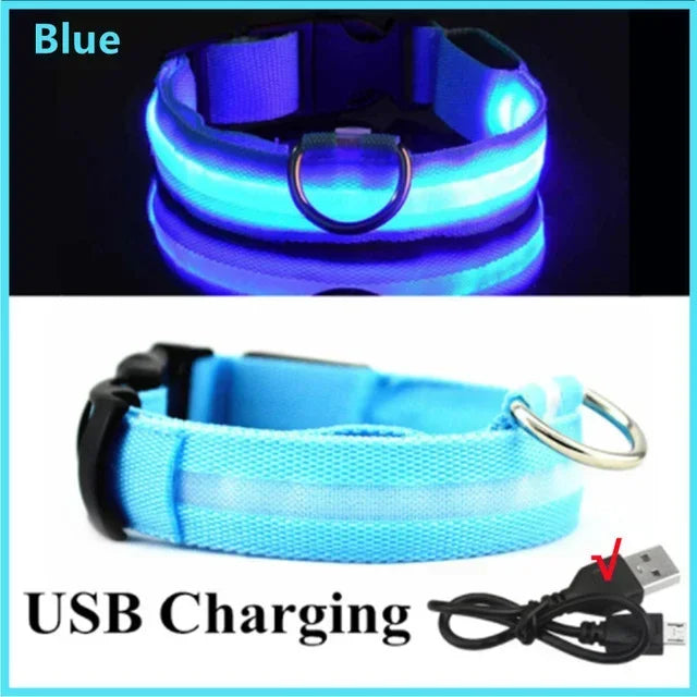 Wiederaufladbares LED-Hundehalsband mit USB – Leuchtendes Sicherheitsband für Nacht & Dämmerung