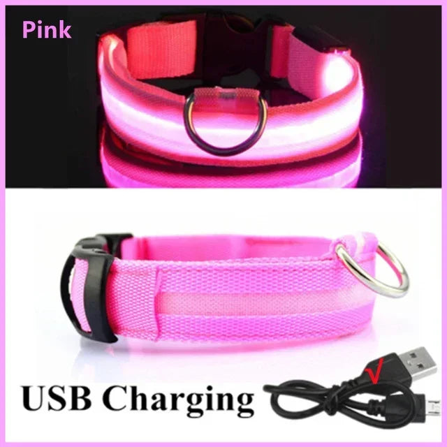Wiederaufladbares LED-Hundehalsband mit USB – Leuchtendes Sicherheitsband für Nacht & Dämmerung