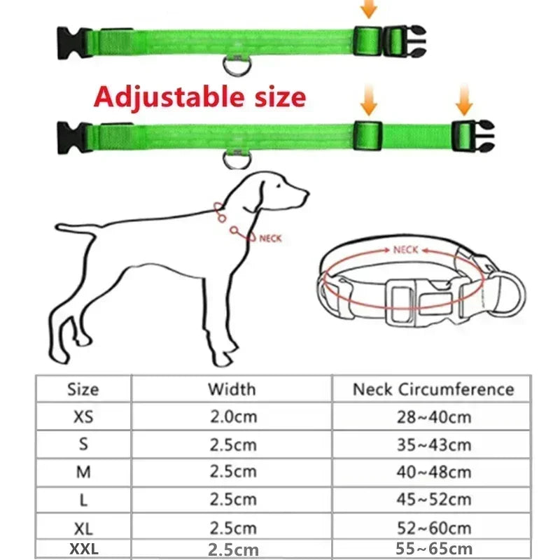 Wiederaufladbares LED-Hundehalsband mit USB – Leuchtendes Sicherheitsband für Nacht & Dämmerung