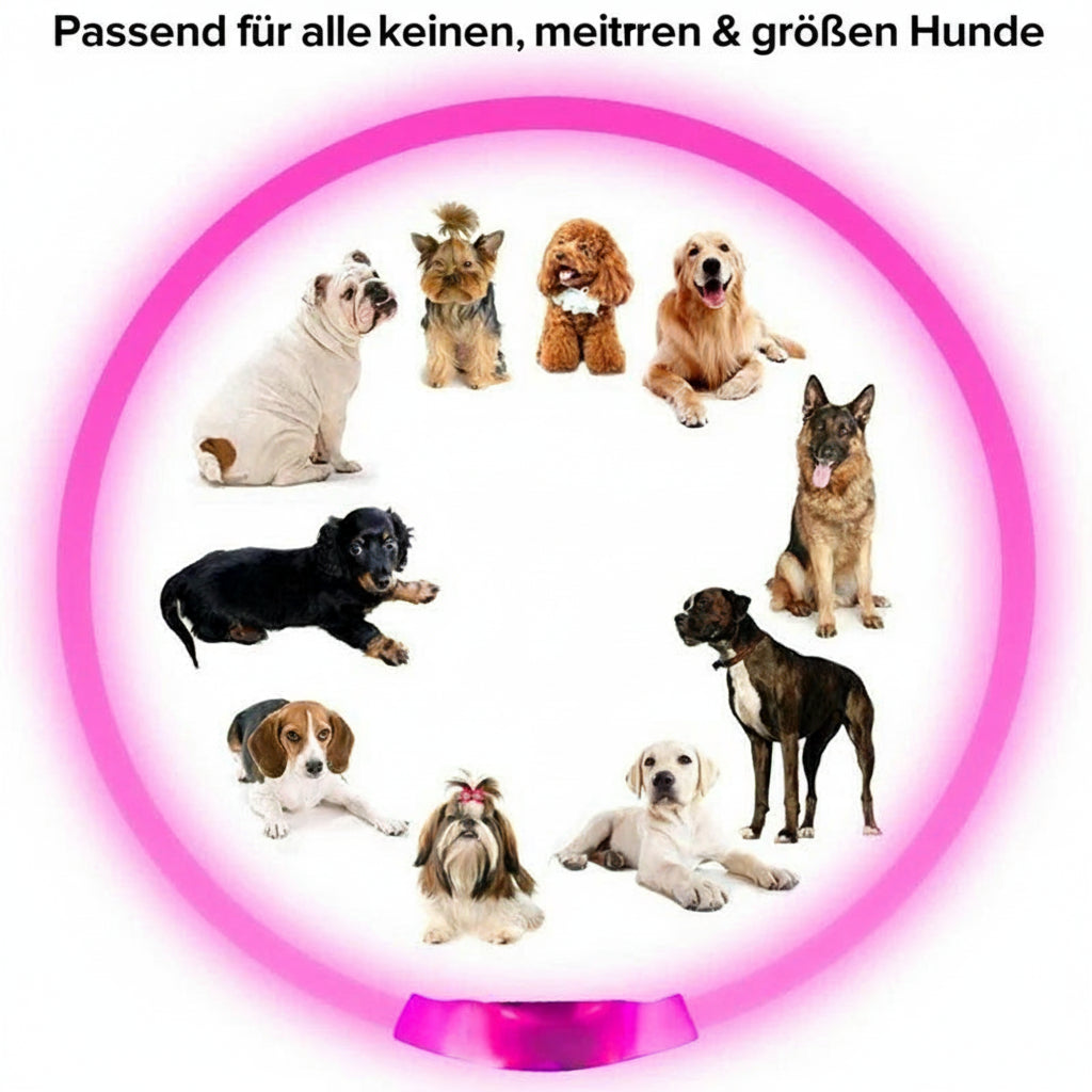 LED USB Hundehalsband wiederaufladbar – Leuchtendes Sicherheits-Halsband für Nachtspaziergänge