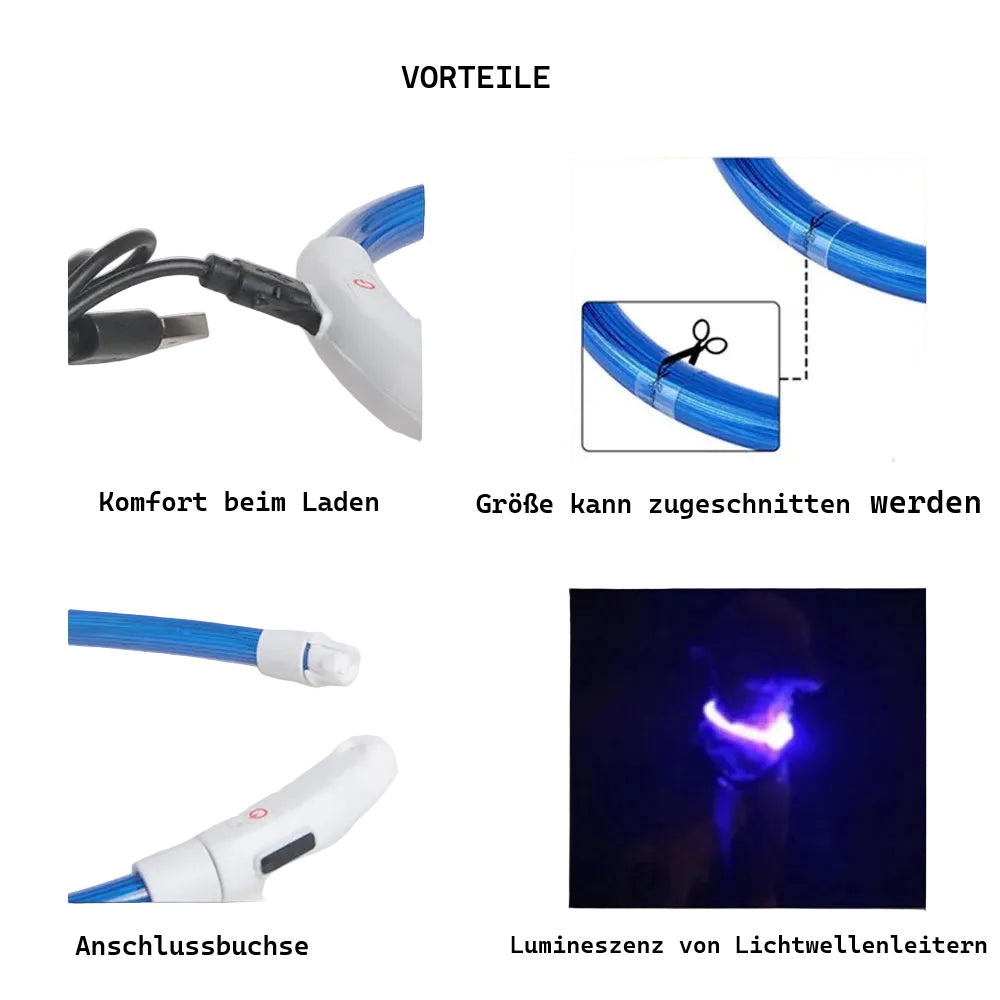 LED USB Hundehalsband wiederaufladbar – Leuchtendes Sicherheits-Halsband für Nachtspaziergänge